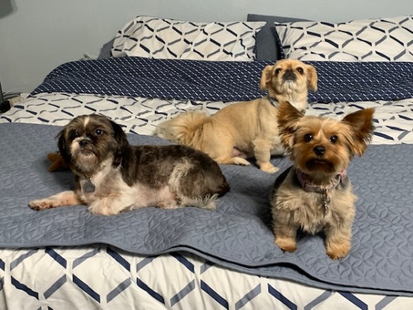 Fall, Family, Friends and&nbsp;Fur-babies!